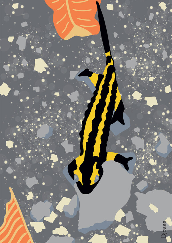 La Salamandre - Boutique - Djoune Illustrations - Justine Gisdal Molron